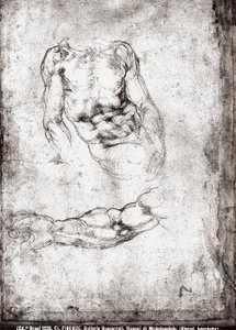 Studie av en mannlig torso og arm av Michelangelo Buonarroti