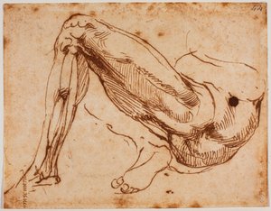  av Michelangelo Buonarroti