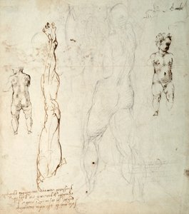 Studie av Kristusbarnet og en anatomisk tegning med notater (svart kritt og brunt blekk på papir) (verso) av Michelangelo Buonarroti