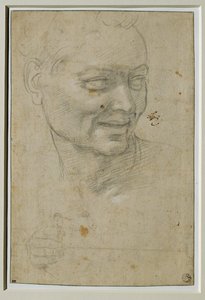  av Michelangelo Buonarroti