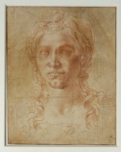  av Michelangelo Buonarroti