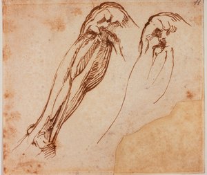  av Michelangelo Buonarroti