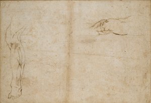 Verso: Studier av en manns ben, c1490-1560 av Michelangelo Buonarroti