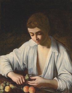 En gutt som skreller frukt av Michelangelo Merisi Caravaggio