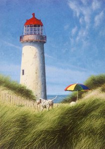 Dag i sanddynene av Mike Briscoe