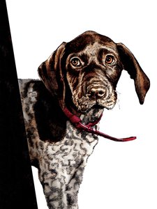 Bye Bye Puppy on White, 2020 av Mike Davis