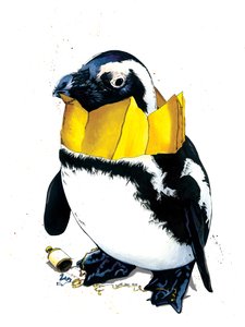 Christmas Penguin on White, 2020 av Mike Davis