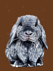 Grey One The Bunny on Burnt Orange, 2020 av Mike Davis