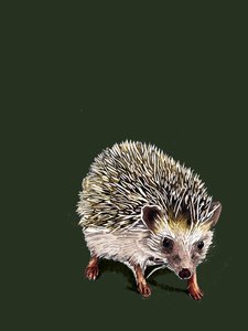Kimchi The Hedgehog on Forest Green, 2020 av Mike Davis