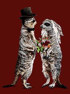 Gift med Meerkats på Red Oxide, 2020 av Mike Davis