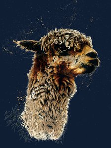 The Alpaca on Midnight Blue, 2020   1421636   no       norwegian Successfully Translated  Original: Summer night in Åsgårdstrand Translat: Summer night in Åsgårdstrand 1318961 no norwegian Successfully Translated Original: Faldne engle (fra en dommedagskom av Mike Davis