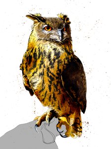 Ørneuglen på hvitt, 2019