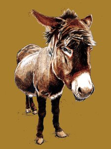 The Little Donkey on Golden Yellow, 2020 av Mike Davis