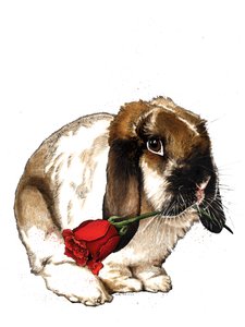 The Love Bunny on White, 2020 av Mike Davis