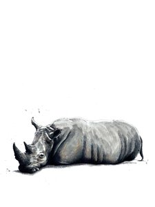 The Rhino on White, 2019