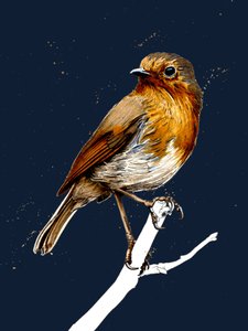 The Robin on Midnight Blue, 2020 av Mike Davis