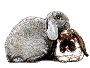 Tenker på Bunnies on White, 2020 av Mike Davis