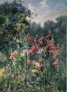 Stokroser