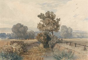 Scene i Elmham, Norfolk