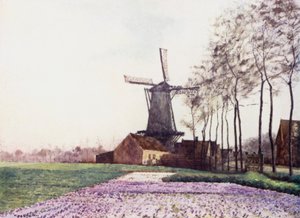 Vårløftet (farge litho)