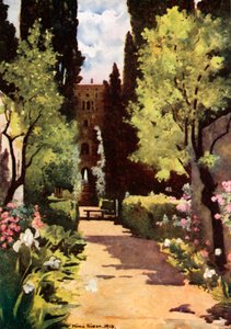 Villa D
