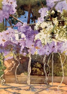 Wistaria Bower, Det kongelige palass, Athen