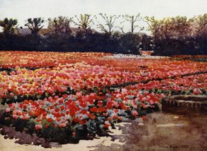 "De vårer, de bygger, blomstringen er frisk og vakker, og dekker verden med sine rike pompøse show" (farge litho)