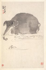 Elefant, hest og hare