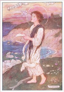 Rene lepper som ikke noen stygge ord har falt fra (farge litho)