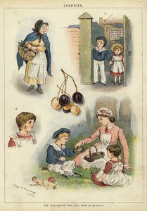 Kirsebær (chromolitho) av Miss Eliza F. Manning
