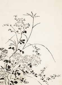  av Miyazaki Yuzen