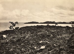 Bygge et imperium i den fascistiske tidsalderen: Lake Tana. Etiopia, 09.05.1936 (s/hvitt-bilde) av Modestino Baldinetti