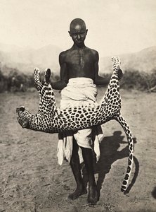 "Building an Empire" i den fascistiske tidsalderen: innfødte viser en leopard, 09/05/1936 (s/hvitt-bilde) av Modestino Baldinetti