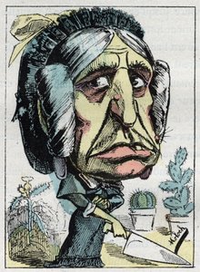 Allegori av "" stemor "" (Belle mere) i "" Le Trombinoscope"" av Touchatout, karikatur av B. Moloch fra 1882 (1849-1909). Privat samling. av Moloch