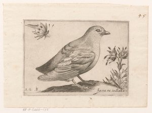 Vogel Passra Indiana (title on object) Vogels (series title)   1364342   no       norwegian Successfully Translated  Original: Paard en wagen voor een huis Translat: Paard en wagen voor een huis 1372641 no norwegian Successfully Translated Original: The Tr