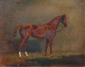 Portrett av en ridehest av Monogrammist A. G.