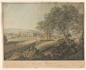 Utsikt over Wiesbaden Vue de Wiesbaden (tittel på objekt) av Monogrammist DS (graveur)