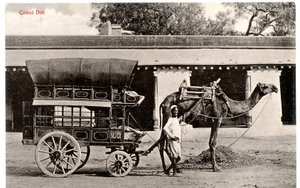 Camel Dak, ca. 1911-12 (sepia-bilde) av Moorli Dhur and Sons