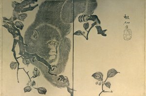 Monkey, 1815, 1924.