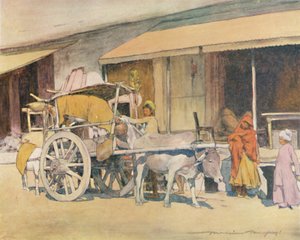 En oksevogn, Ajmere, 1905