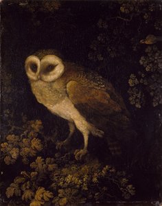 En ugle, 1780-90