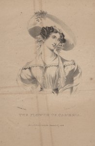 The Flower of Cambria, litho av C.G. Childs, 1830