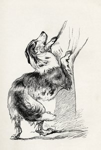 Halvavlet gjeterhund som kjærtegner sin herre, fra Charles Darwins 