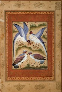 Fugler. Miniatyr gouache fra moghole skolen. 1590-1600. Paris, Guimet-museet, Nasjonalmuseet for asiatisk kunst
