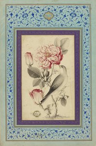 Jahangir, 17th century.    1206396   no       norwegian Successfully Translated  Original: Le Charge d Translat: Le Charge d 1334293 no norwegian Successfully Translated Original: Horse with Head Lowered, 1880searly 1890s. Translat: Keizerskroon, orchidee  av Muhammad Baqir