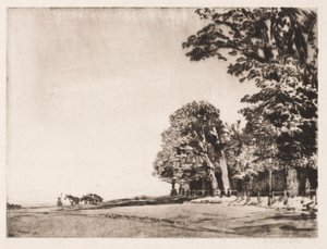  av Muirhead Bone
