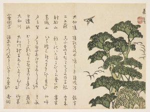 Stort tre og fugler, ca. 1830-44 (farget treblokktrykk) av Murata Kagen