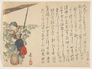 Teplukkere, ca. 1830-44 (farget treblokktrykk) av Murata Kagen