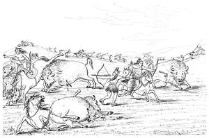 Indianere som jakter på bøfler, 1841.