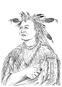 The Bloody Hand, en av høvdingene for Riccaree-stammen, 1841.